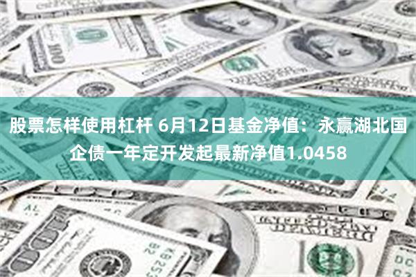 股票怎样使用杠杆 6月12日基金净值：永赢湖北国企债一年定开发起最新净值1.0458