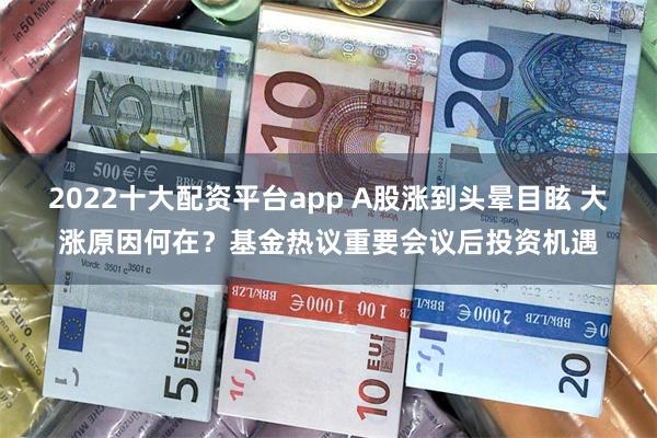 2022十大配资平台app A股涨到头晕目眩 大涨原因何在？基金热议重要会议后投资机遇