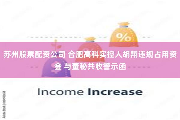 苏州股票配资公司 合肥高科实控人胡翔违规占用资金 与董秘共收警示函