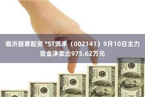 临沂股票配资 *ST贤丰（002141）9月10日主力资金净卖出975.62万元