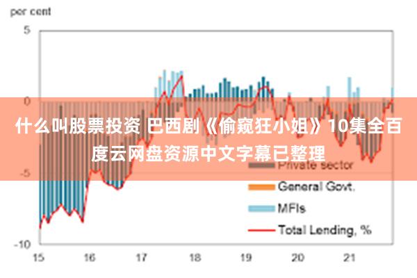 什么叫股票投资 巴西剧《偷窥狂小姐》10集全百度云网盘资源中文字幕已整理