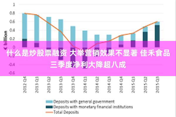 什么是炒股票融资 大举营销效果不显著 佳禾食品三季度净利大降超八成