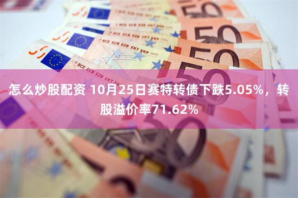 怎么炒股配资 10月25日赛特转债下跌5.05%，转股溢价率71.62%