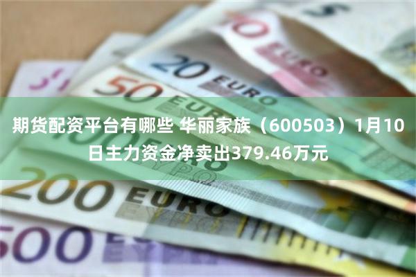 期货配资平台有哪些 华丽家族（600503）1月10日主力资金净卖出379.46万元