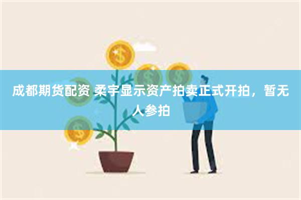 成都期货配资 柔宇显示资产拍卖正式开拍，暂无人参拍