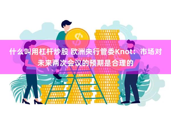 什么叫用杠杆炒股 欧洲央行管委Knot：市场对未来两次会议的预期是合理的