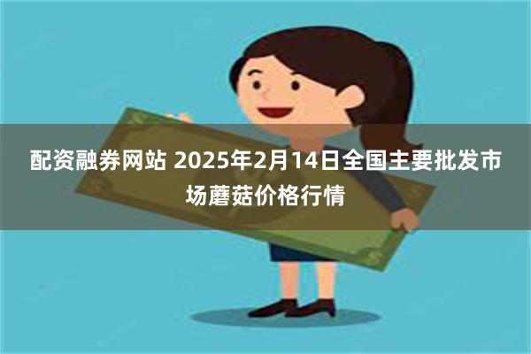 配资融券网站 2025年2月14日全国主要批发市场蘑菇价格行情