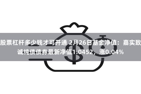 股票杠杆多少钱才可开通 2月26日基金净值：嘉实致诚纯债债券最新净值1.0452，涨0.04%